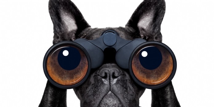 Qu'est ce que la Consent Management Platform ?